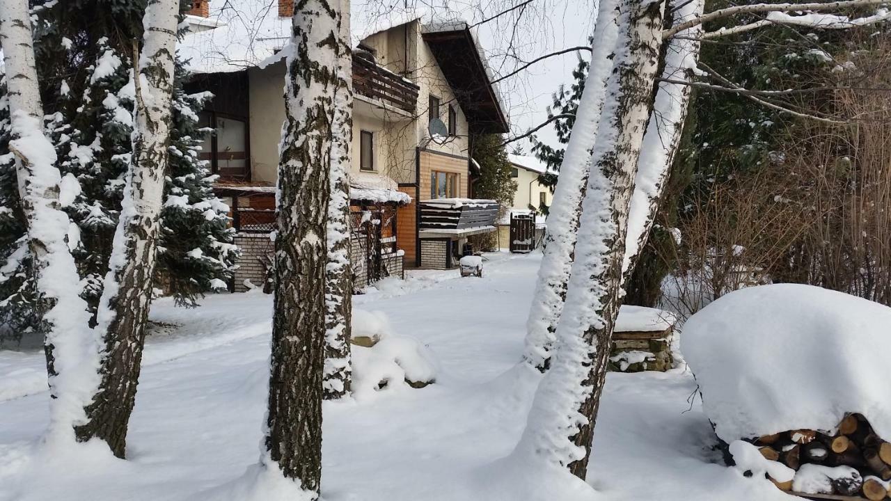 Swinna - Brzozowy Zagajnik المظهر الخارجي الصورة